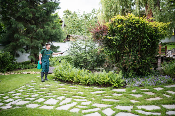 Lawn Pest Prevention in Liberty City, TX